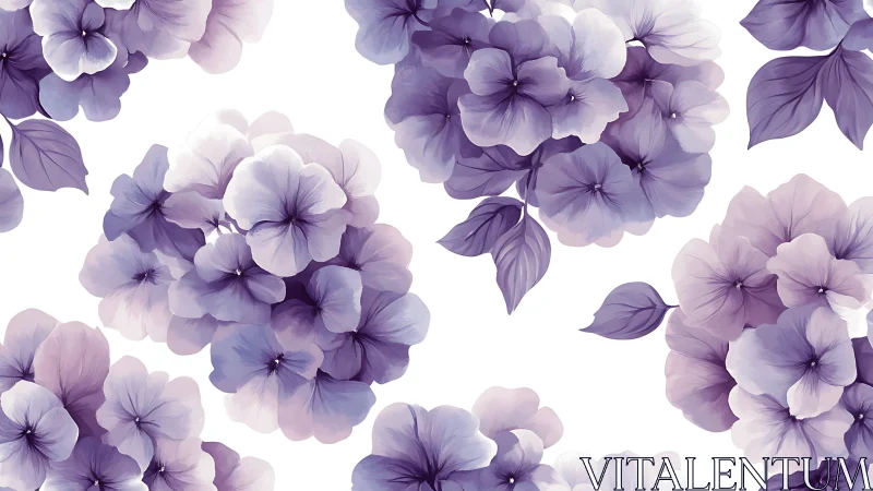 Purple Pansies Bloom Softly Against White.