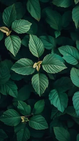 Emerald foliage pattern with soft moody lighting detail.