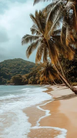 Tropical Shoreline with Palm Trees and Vegetated Hillside