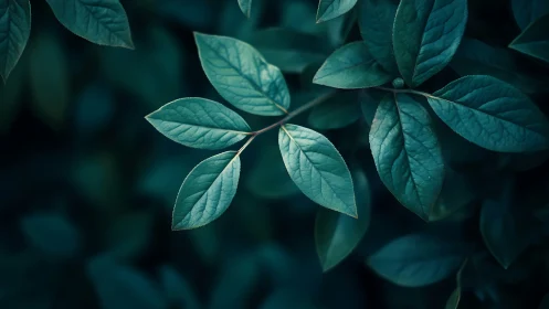 Moonlit leaves whisper in teal-tinted forest hush.