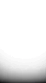 Soft monochrome vignette fades into a calm white horizon