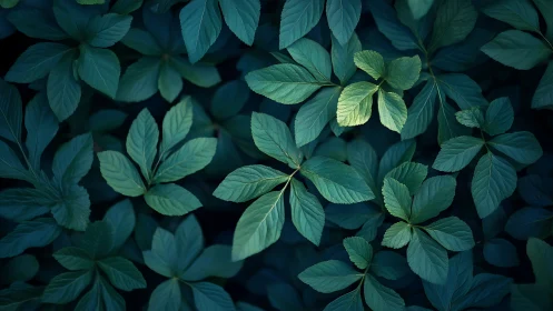 Luminous forest leaves whispering in cool teal shadows.