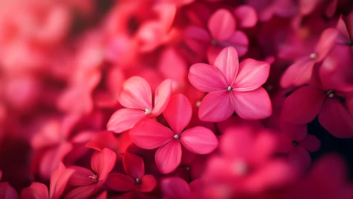 Luminous Petal Architecture: Macro Floral Study in Depth.