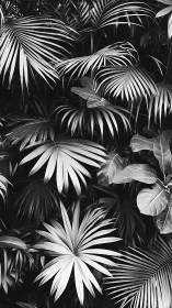 Monochrome tropical palm leaves forming dense foliage.