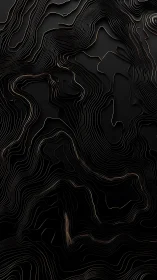 Layered black contours flow in elegant abstract relief.