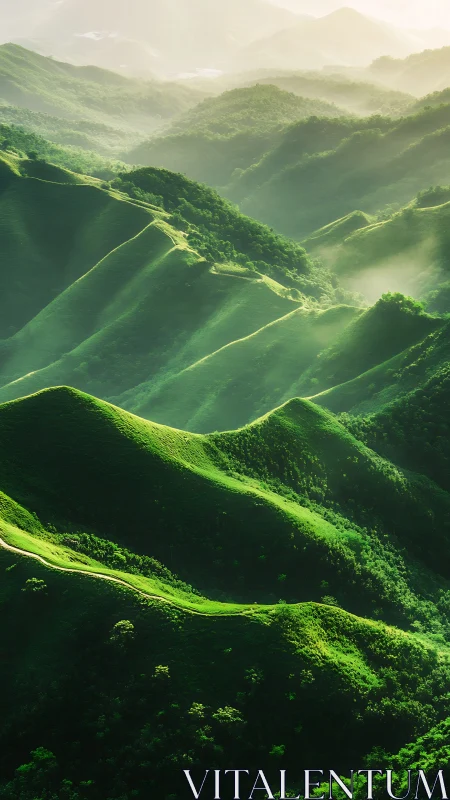 Sunlit emerald ridges in misty layered mountainscape.