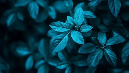 Cyan-toned botanical foliage study with shallow depth of field.