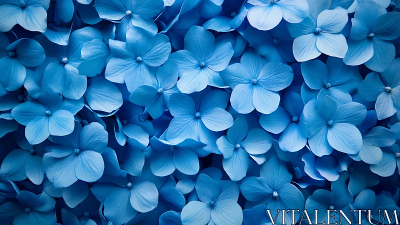 Delicate Blue Flowers Blooming Together in Harmony.