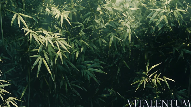Dense bamboo foliage under diffused backlight reveals layered depth