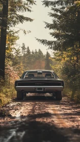 Rear-view study of classic Dodge muscle car on forest track.