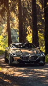 Low-slung metallic BMW concept coupe on forest gravel road