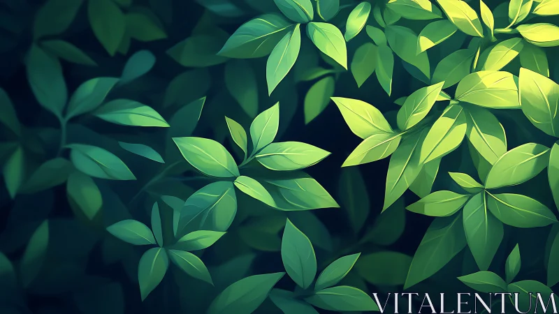 Overhead view shows layered green leaves in soft focus