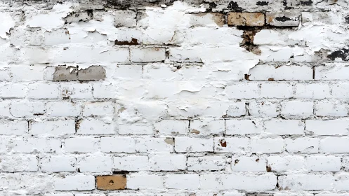 Weatherworn white brick wall quietly peels toward memory