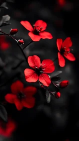 Vibrant Red Flowers Blooming Against Dark Atmospheric Background