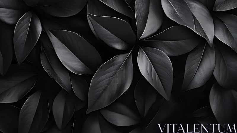Monochrome botanical leaves form a dense overlapping surface