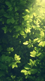 Sunlit green foliage drifts softly in tranquil forest air.