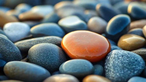 Single orange pebble rests among smooth blue river stones