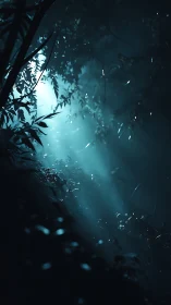 Mystical Light Through Rain-Soaked Foliage and Mist