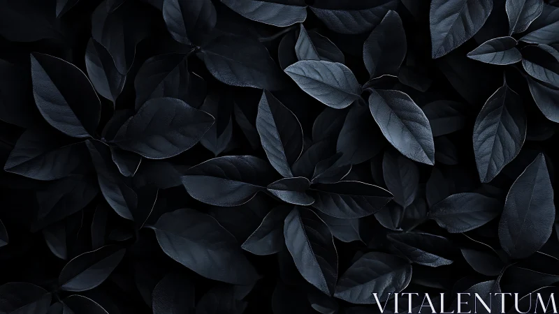 Midnight foliage study with deep navy textured leaves.