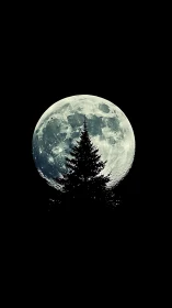 Moon rises behind conifer silhouette in centered vertical frame