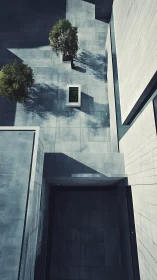 Concrete courtyards trade shadows while lone trees negotiate