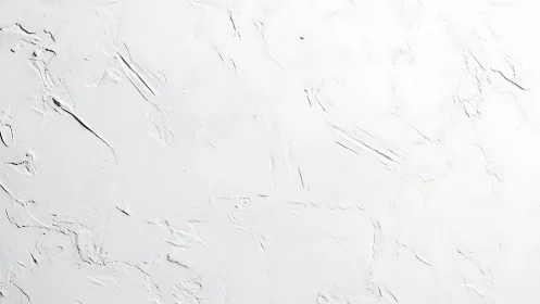 Textured white plaster wall surface under diffused studio lighting