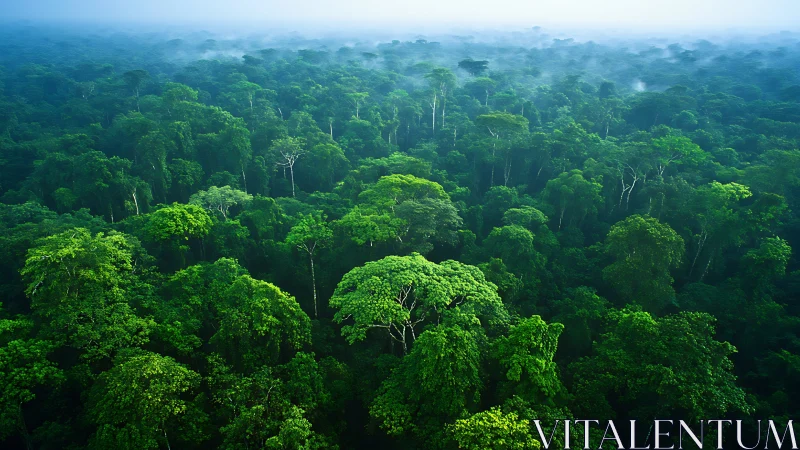 Endless Green: A Rainforest's Living Canopy.