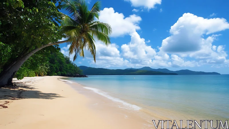 Tropical Lagoon Beach with Palm Trees and Mountain Vista
