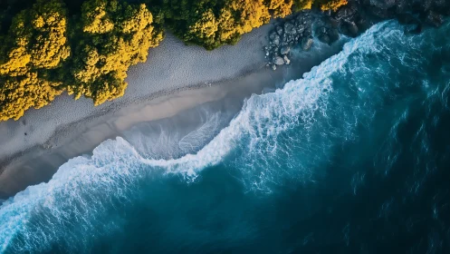 Aerial shoreline with golden forest and cyan breaking waves.