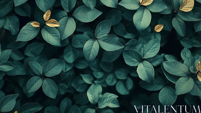 Quiet emerald leaves welcome gentle golden accents of light