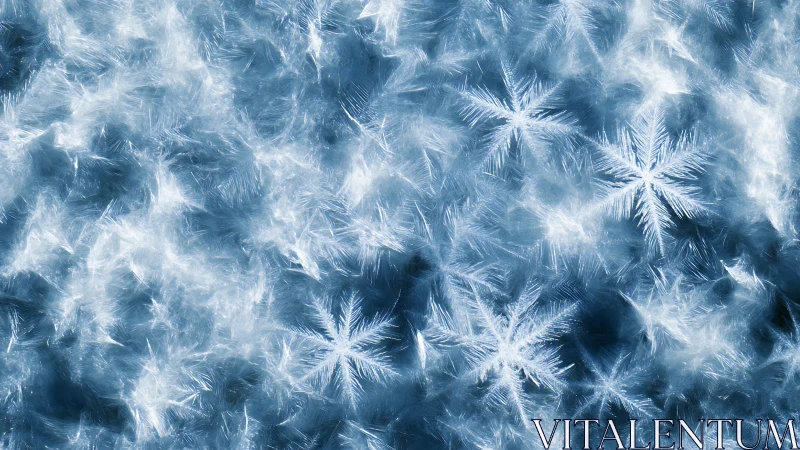 Macro photograph shows crystalline snowflake structures on ice