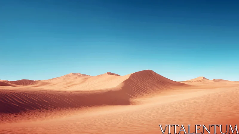 Sunlit desert dunes roll beneath a vast clear blue sky