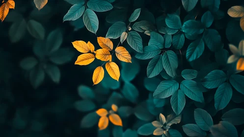 Golden leaves contrast against deep teal forest foliage