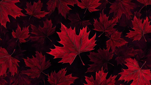 Crimson maple chorus drifting across midnight velvet sky.