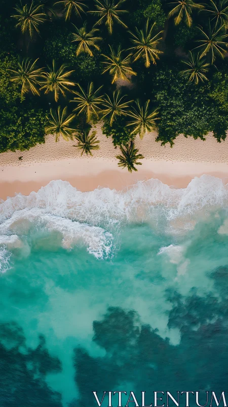 Tropical Paradise From Above: Palm Trees Meet Turquoise Waves.