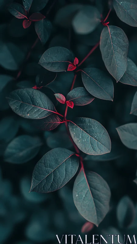 Moody botanical foliage in teal and crimson tonal contrast.