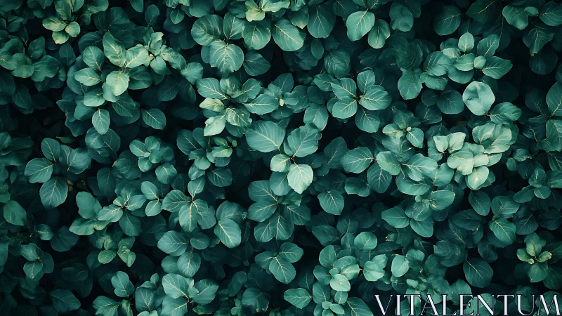 Emerald leaf chorus swirling in a calm forest hush.