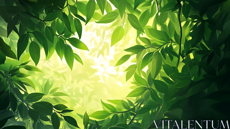 Backlit verdant foliage canopy with radial sunlit clearing