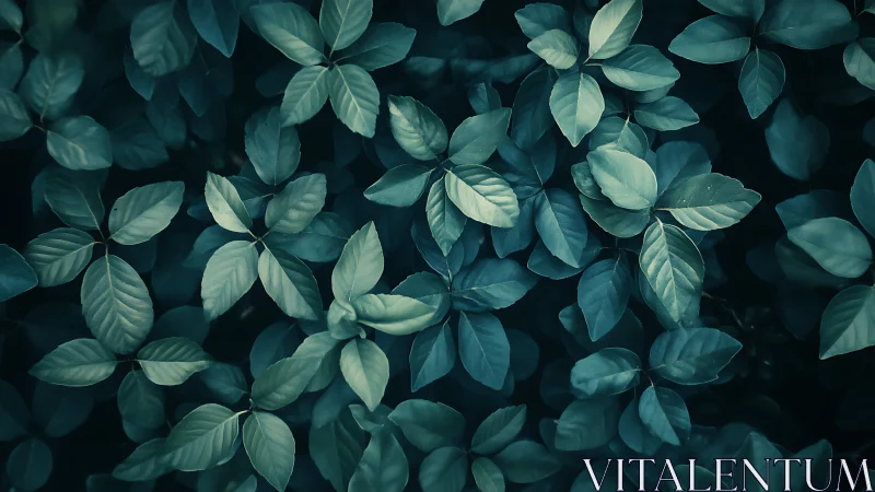 Moody teal foliage canopy with soft directional lighting.