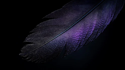Macro study isolates iridescent feather barbs under low key light
