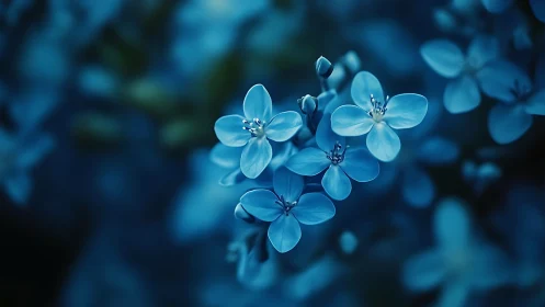 Delicate Blue Flowers Dancing in Soft Twilight Glow