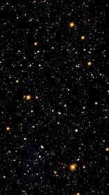 Dense star field shows multicolored stellar distribution