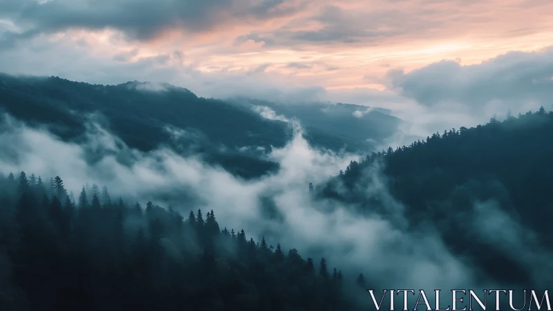 Mountain Valley Fog at Sunset with Coniferous Forest