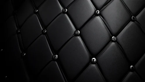 Black quilted leather upholstery with glossy button studs.