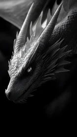 Monochrome close-up of detailed dragon head profile.