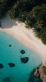 Tropical Paradise: Pristine Beach with Palm-Fringed Shores.