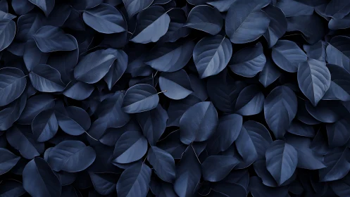 Dense pattern of overlapping deep blue foliage leaves.