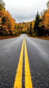 Open autumn road inviting you into glowing forest colors.