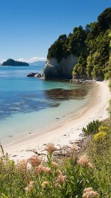 Limestone Cliff Beach Cove With Turquoise Waters and Dense Vegetation.