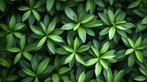 Green radial foliage pattern with overlapping tropical leaves.